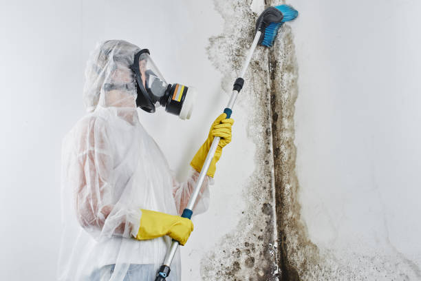 Water Damage Restoration in Seminole, TX