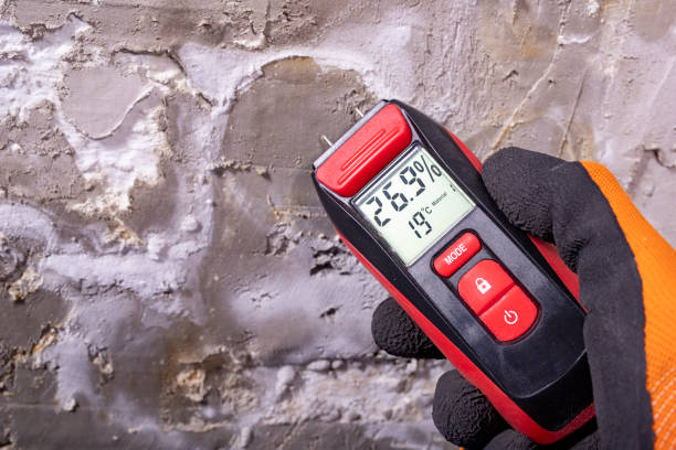 Best Affordable Mold Removal  in Seminole, TX